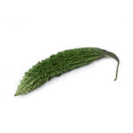 خیار چنبر