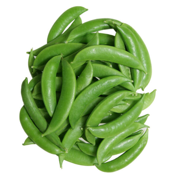 باقاله