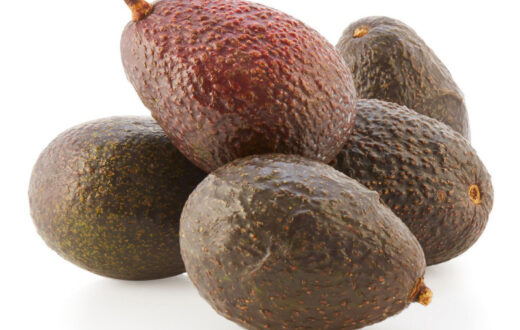 آووکادو 100 گرمی