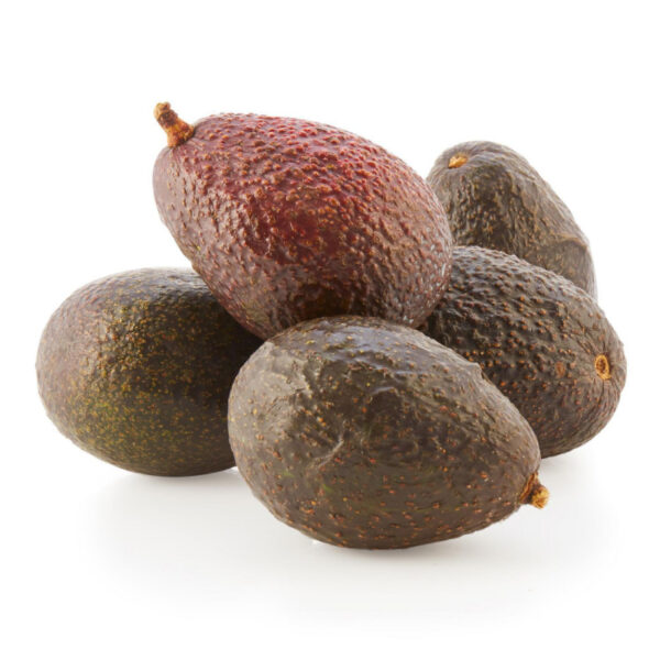آووکادو 100 گرمی