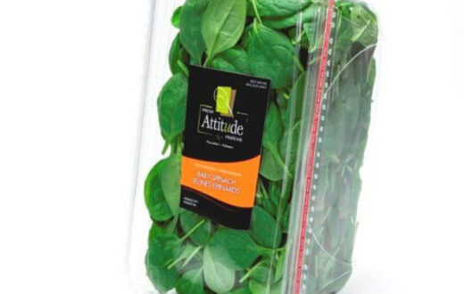 سبزی خوردن