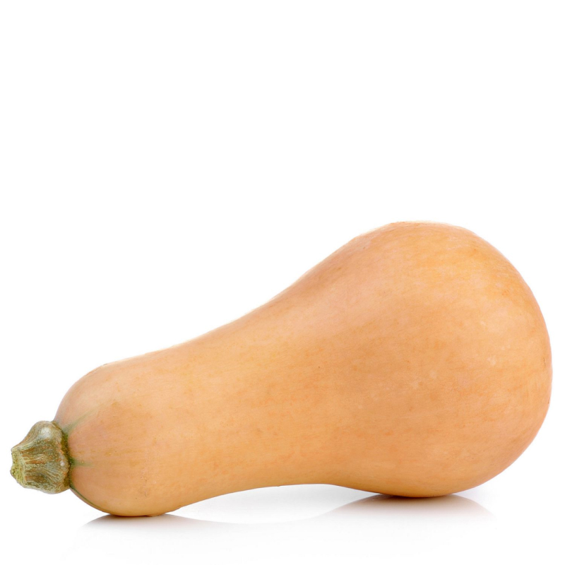 کدو